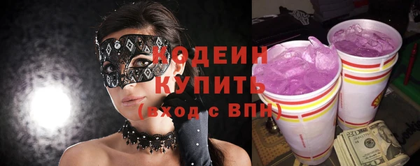 индика Дмитриев