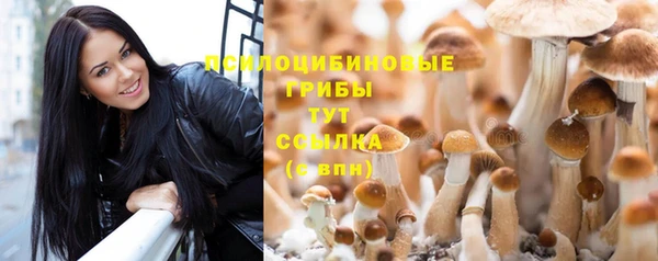 ГАЛЛЮЦИНОГЕННЫЕ ГРИБЫ Арсеньев