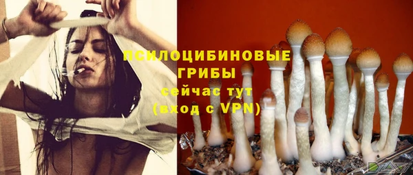 COCAINE Дмитровск