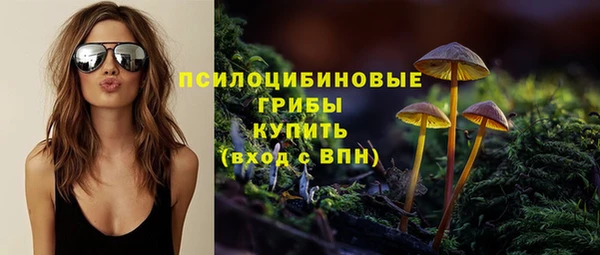 СК Балахна