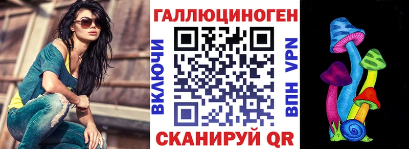 Галлюциногенные грибы Psilocybe  хочу   Каспийск 