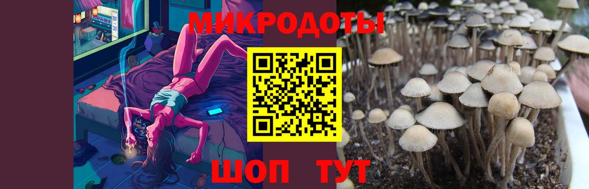 Галлюциногенные грибы прущие грибы  Вход с VPN  Каспийск 