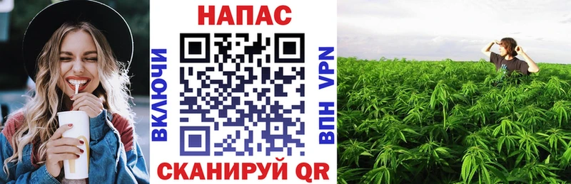 блэк спрут онион  Каспийск  Шишки марихуана SATIVA & INDICA 